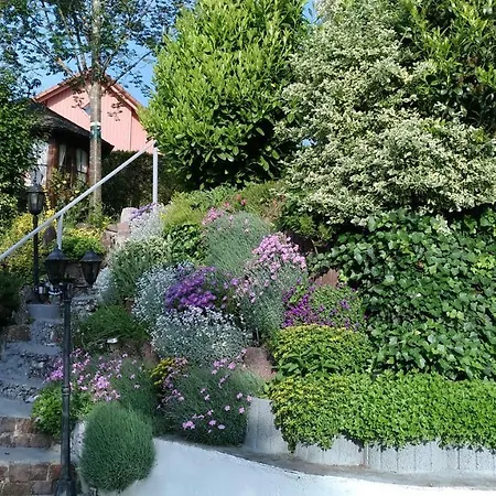 Apartman Petras-ferienwohnung *